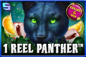 Арт слота 1 Reel Panther